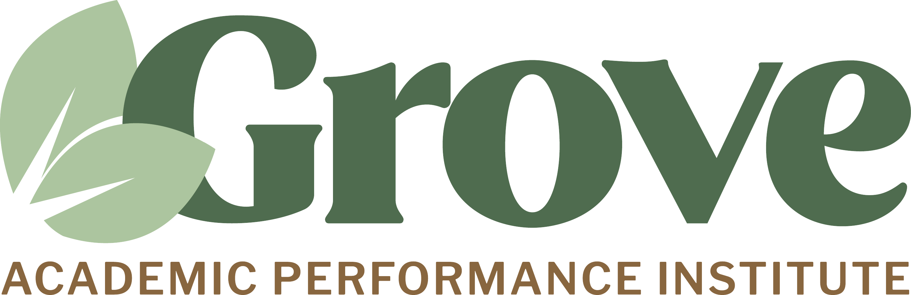 Grove Academic Performance Institute